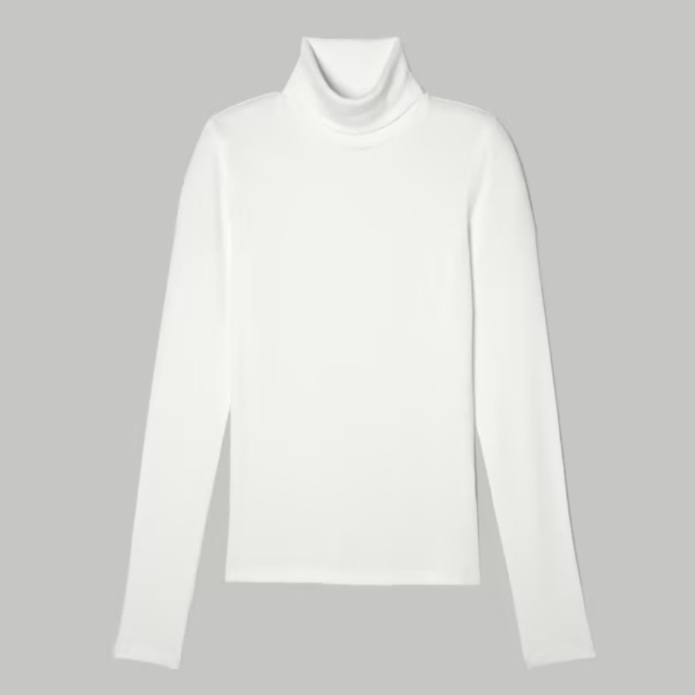 Everlane The Pima Micro-Rib Turtleneck